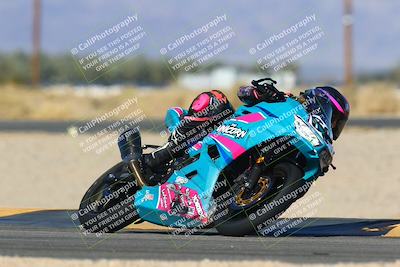 media/Jan-13-2024-SoCal Trackdays (Sat) [[9c032fe5aa]]/Turn 16 Set 1 (11am)/